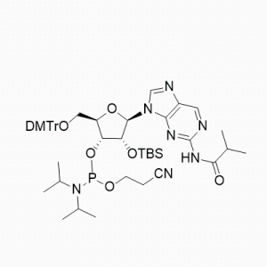 2-Aminopurine amidite