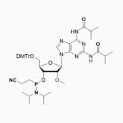 2’OMe-2,6-diamino-G(ibu)-Phosphoramidite