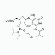 UNA-G(iBu) phosphoramidite