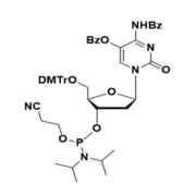 5-OBz-dC(Bz)
