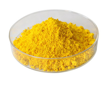 Berberine hydrochloride; 633-65-8