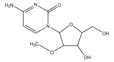 2'-O-Methylcytidine