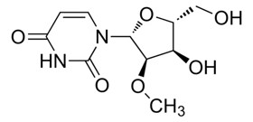 2'-O-Methyluridine