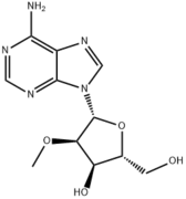2'-O-Methyladenosine
