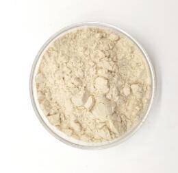 Bromelain Powder