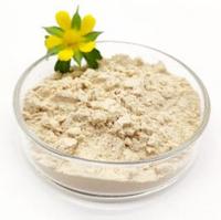 Bromelain Powder