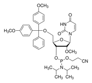 DMT-2′O-Methyl-rU Phosphoramidite