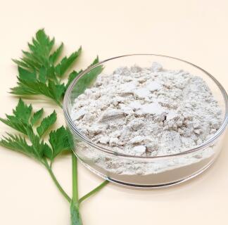 Bromelain Powder