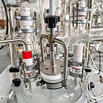 10L Explosion proof reactor