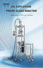 10L Explosion proof lifting reactor