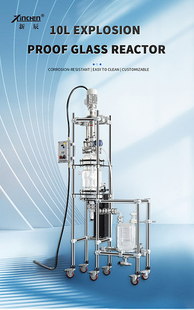 10L Explosion proof lifting reactor