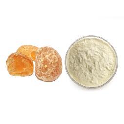 Gum Acacia Powder
