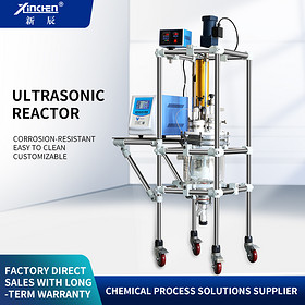 5L Ultrasonic Reactor