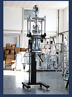 10L Lift and filter reactor