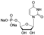 Uridine 5′-monophosphate disodium salt