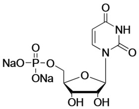 Uridine 5′-monophosphate disodium salt