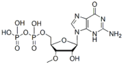 3'-O-Methylguanosine-5'-Monophosphate