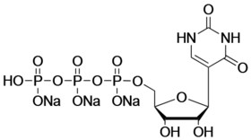Pseudouridine-5'- Triphosphate,Trisodium Salt