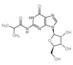 N2-Isobutyryl- guanosine
