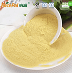 Calamansi Powder  (Halal/Kosher/ISO Certified)