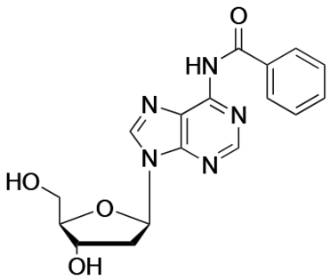 N6-Benzoyl-2'-  deoxyadenosine