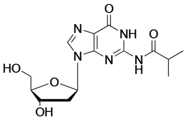 N2-Isobutyryl-2'- deoxyguanosine