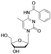 N4-Benzoyl-5-Methyl-2'-deoxycytidine