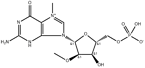7-Methyl-3'-O-Methylguanosine-5'-Monophosphate