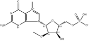 7-Methyl-3'-O-Methylguanosine-5'-Monophosphate