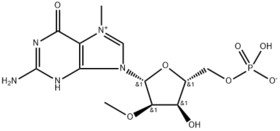 7-Methyl-3'-O-Methylguanosine-5'-Monophosphate