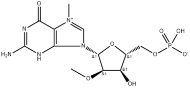 7-Methyl-3'-O-Methylguanosine-5'-Monophosphate