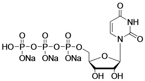 Uridine-5'-Triphosphate, Trisodium Salt