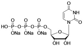 Uridine-5'-Triphosphate, Trisodium Salt