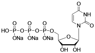 Uridine-5'-Triphosphate, Trisodium Salt