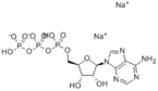 ADENOSINE 5'-TRIPHOSPHATE DISODIUM SALT