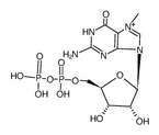 7-Methyl-Guanosine-5'-Diphosphate, TEASalt