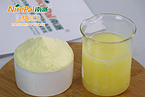 Mandarin Powder (Halal/Kosher/ISO Certified)