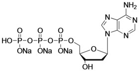 2'-Deoxyadenosine-5'-triphosphate, sodium salt solution