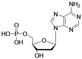2'-Deoxyadenosine-5'-Monophosphate, Free acid