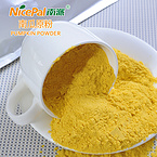 Pumpkin Powder