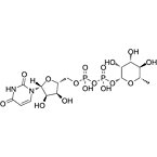 UDP-β-rhamnose