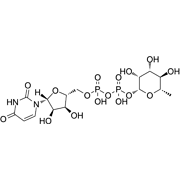 UDP-β-rhamnose