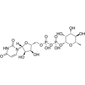 UDP-β-rhamnose