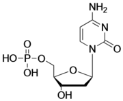 2’-Deoxycytidine-5’-Monophosphate, Free acid