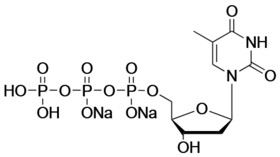 Thymidine-5'-Triphosphate,Sodium Salt