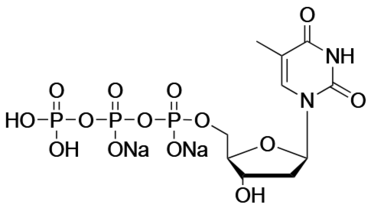 Thymidine-5'-Triphosphate,Sodium Salt