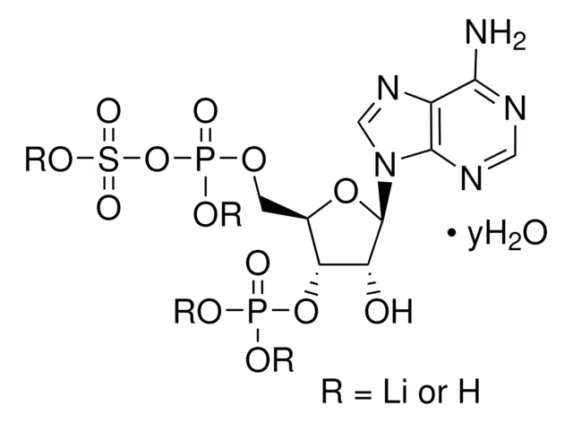 Adenosine3′-phosphate5′-phosphosulfatelithiumsalthydrate