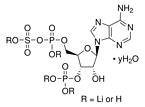 Adenosine3′-phosphate5′-phosphosulfatelithiumsalthydrate