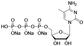 5-methyl-cytidine-5'-triphosphate, sodium salt solution