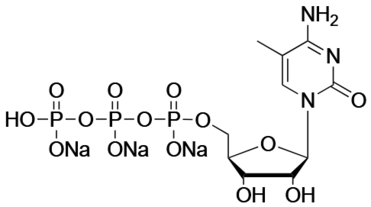 5-methyl-cytidine-5'-triphosphate, sodium salt solution